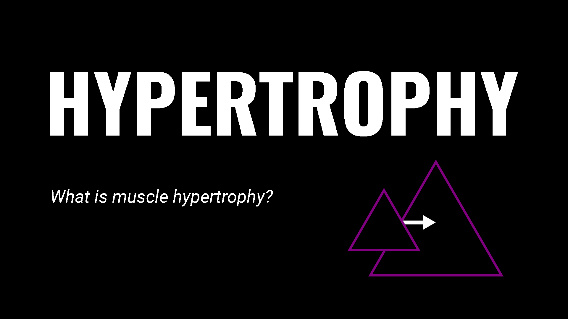 Read more about the article What is Muscle Hypertrophy?